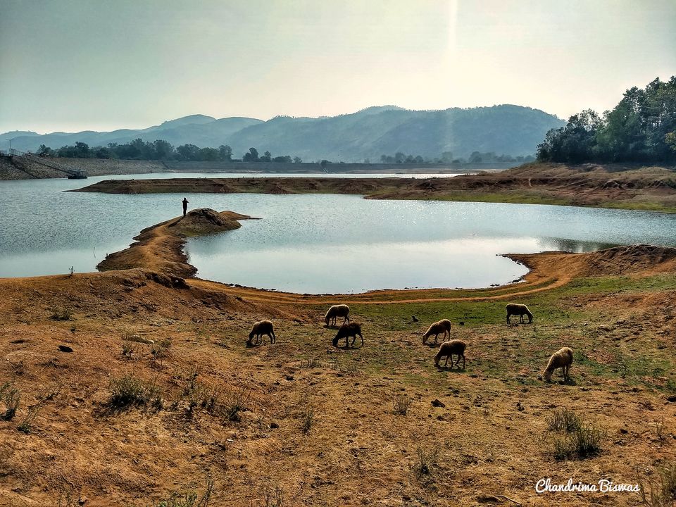 Photo of Tripping on Mahua, Murguma- Chhau Country by Chandrima Biswas