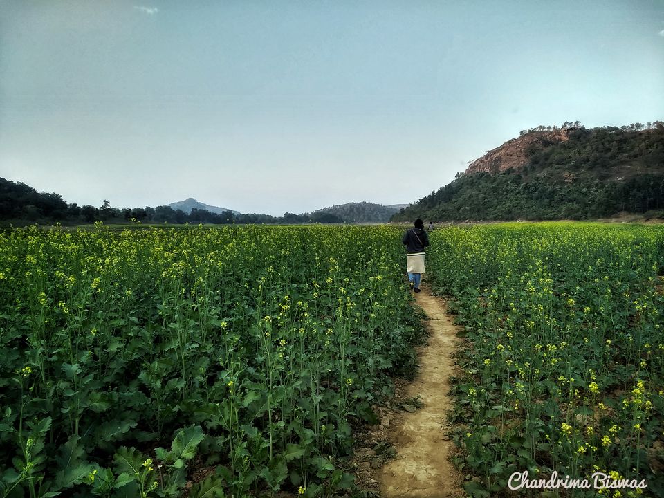 Photo of Murguma, West Bengal, India by Chandrima Biswas