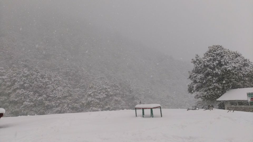 Photo of Uttrakhand – Rendezvous with the Himalayas. by Aneesha Bothra