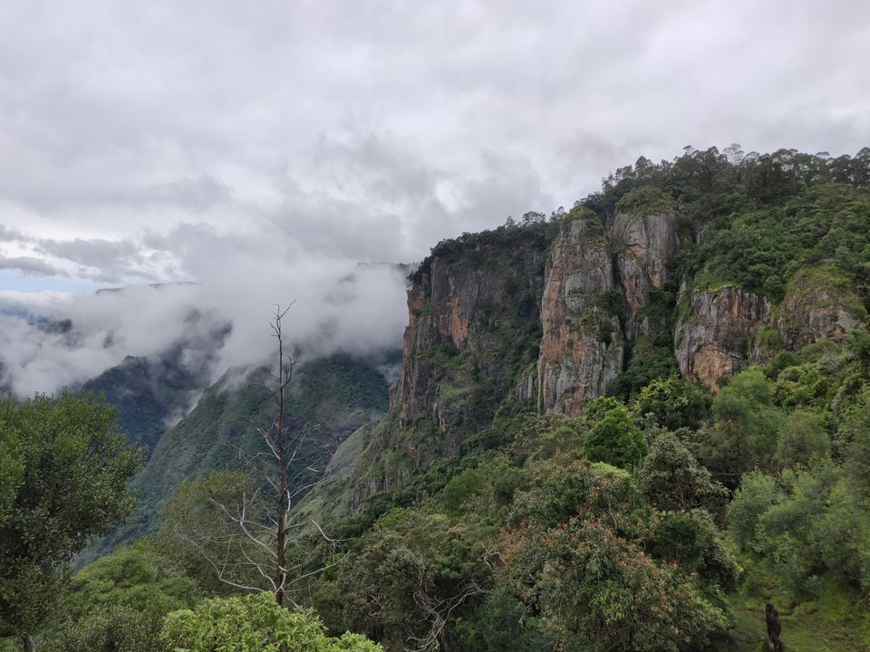 Photo of Kodaikanal - Exploring the Wild Wild West-ern Ghats . by Aneesha Bothra