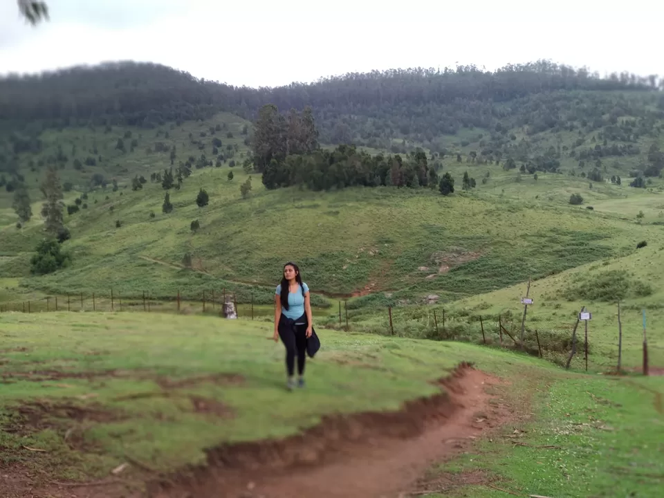 Photo of Kodaikanal - Exploring the Wild Wild West-ern Ghats . by Aneesha Bothra