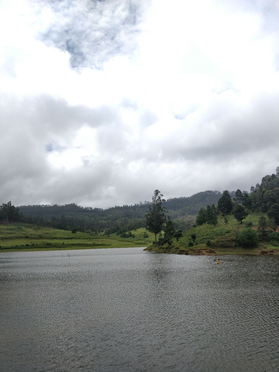 Photo of Kodaikanal - Exploring the Wild Wild West-ern Ghats . by Aneesha Bothra