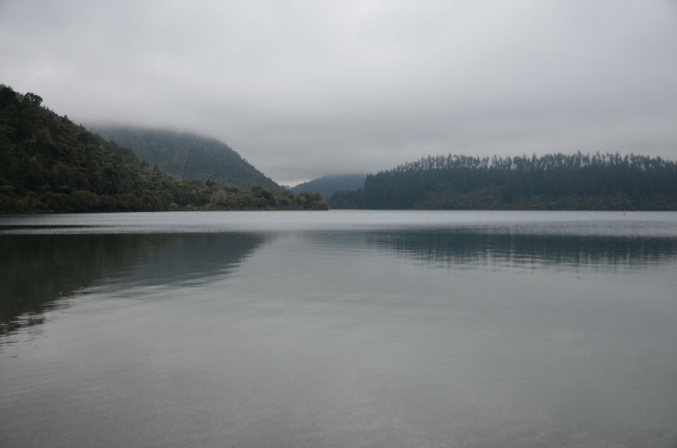 Photo of Lake Tikitapu (Blue Lake), Rotorua, Bay Of Plenty, New Zealand by nidhi