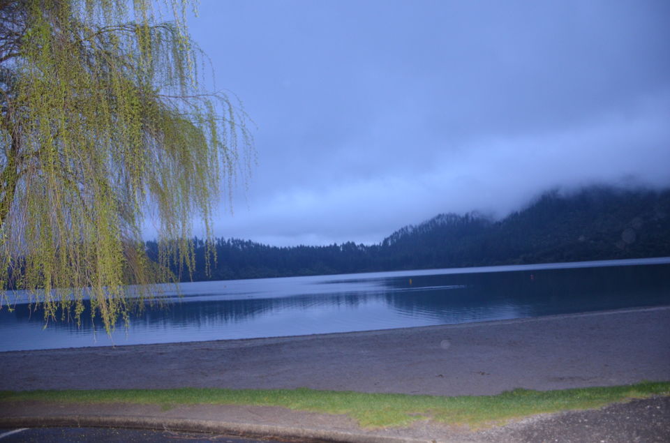 Photo of Lake Tikitapu (Blue Lake), Rotorua, Bay Of Plenty, New Zealand by nidhi