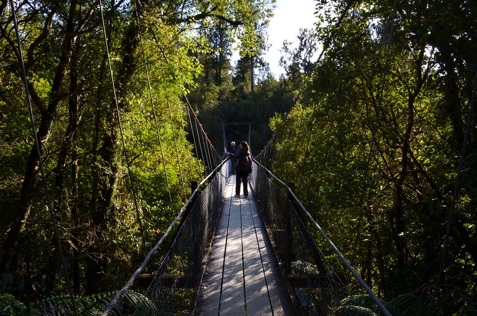Photo of Hokitika Gorge, Kokatahi, West Coast, New Zealand by nidhi