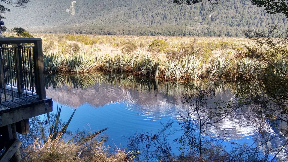 Photo of Mirror Lake, Fiordland National Park, Southland, New Zealand by nidhi