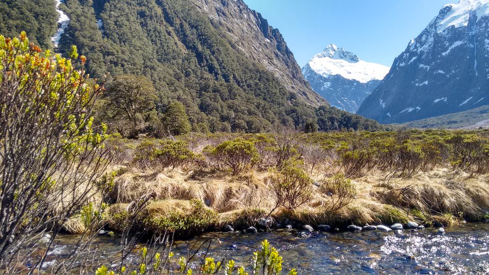 Photo of Mirror Lake, Fiordland National Park, Southland, New Zealand by nidhi