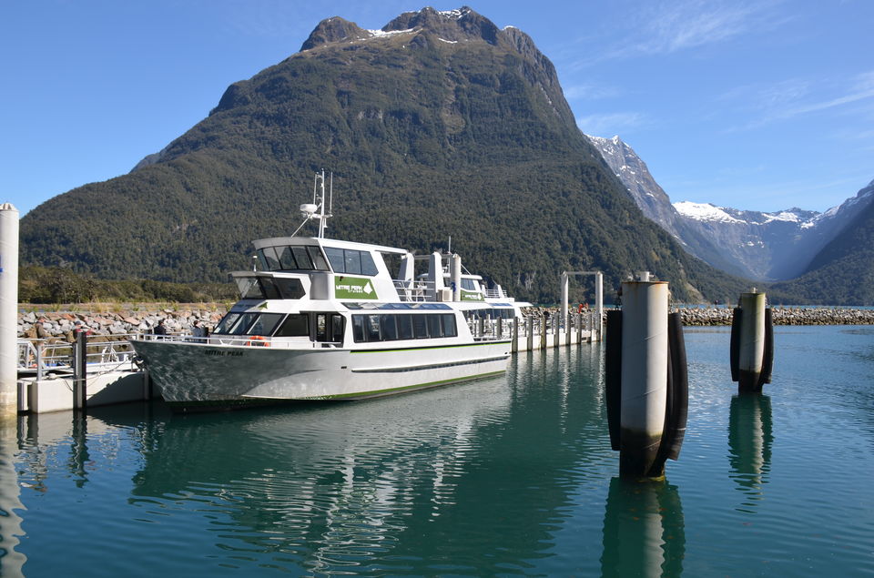 Photo of New Zealand – Beauty, Nature, Peace, Adventure :) by nidhi