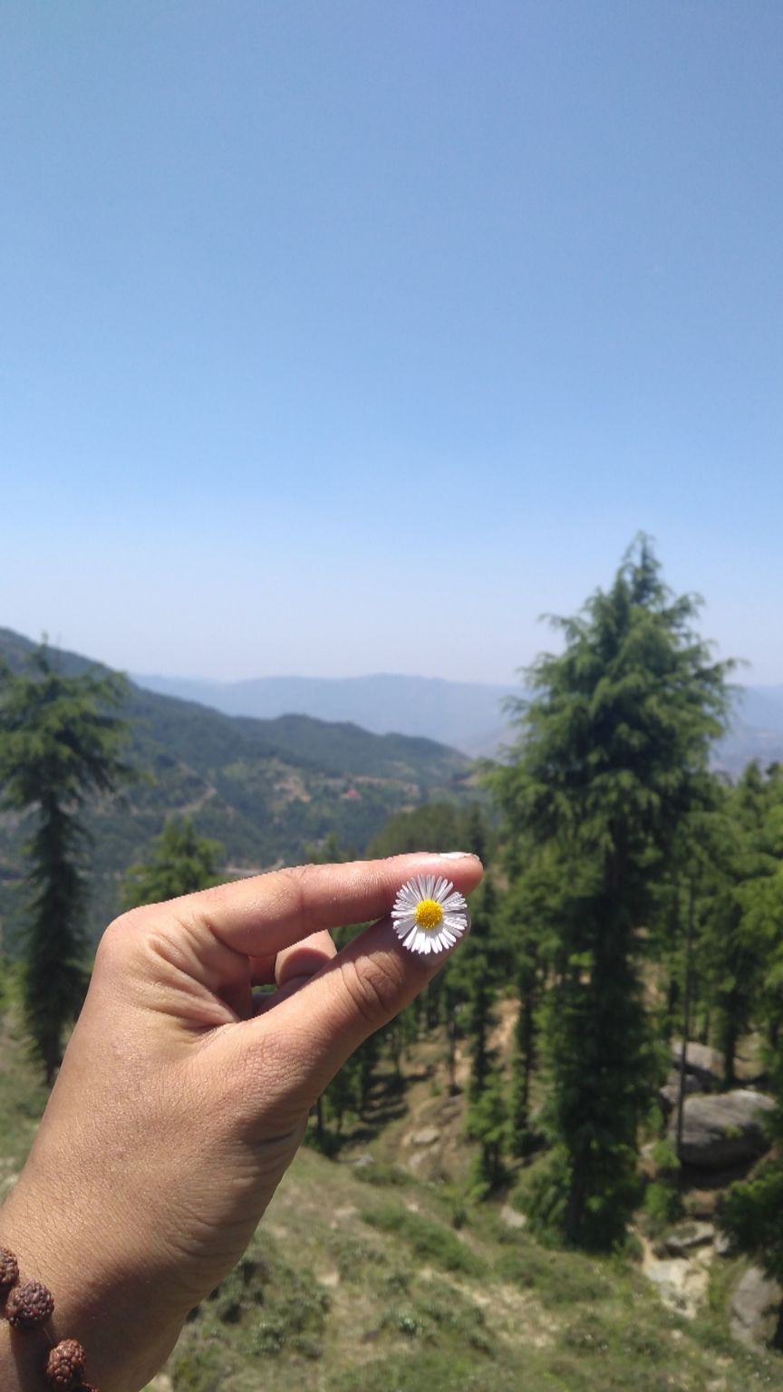 Photo of Nohradhar, Himachal Pradesh, India by Mehul Sharma