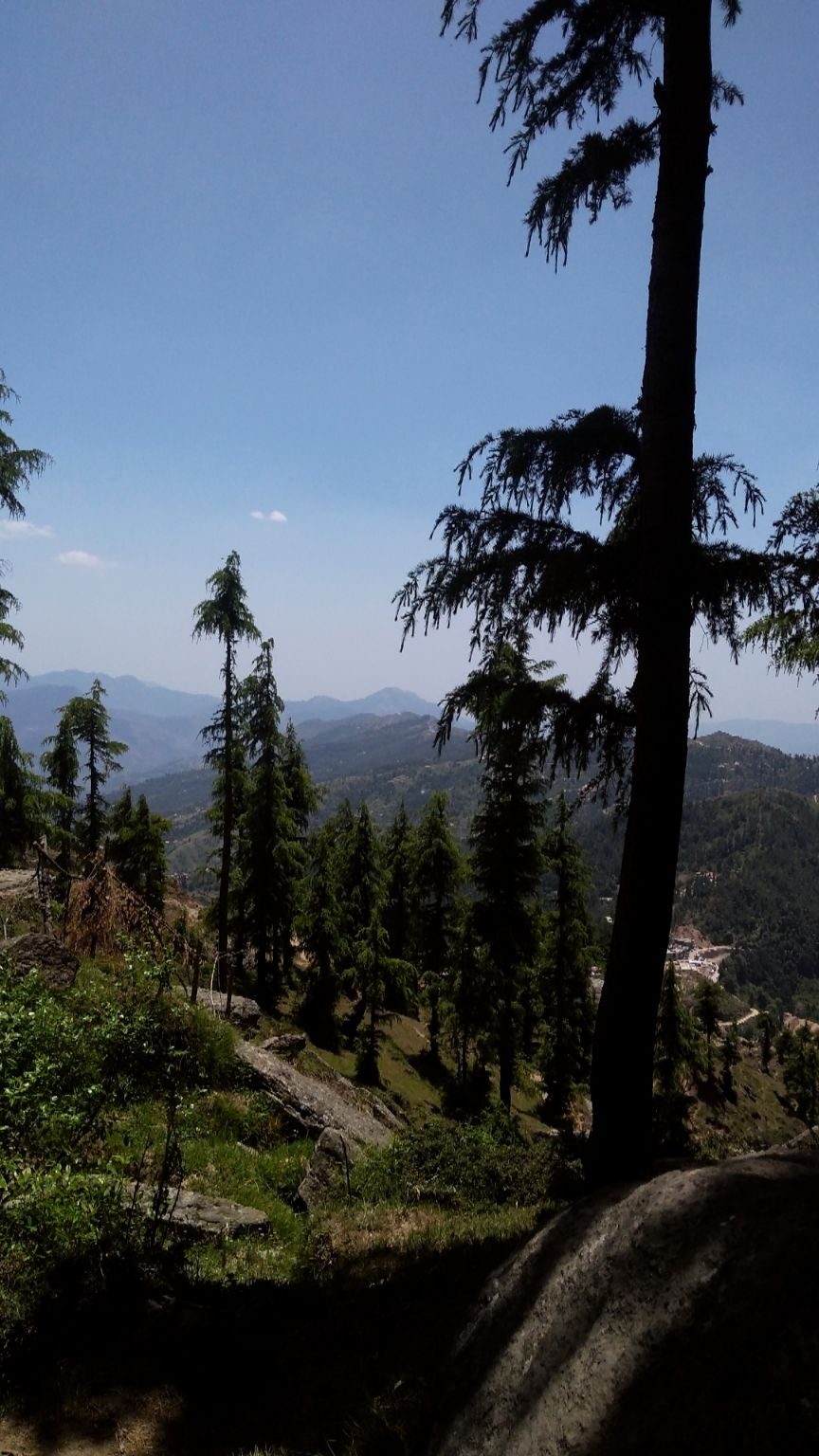 Photo of Nohradhar, Himachal Pradesh, India by Mehul Sharma