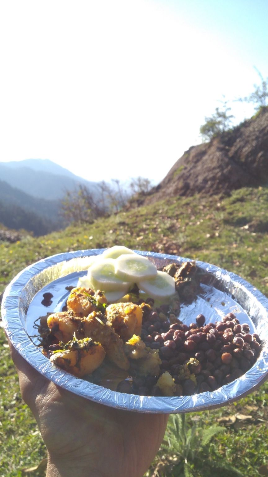 Photo of Churdhar- Lost in the wildlife sanctuary by Mehul Sharma