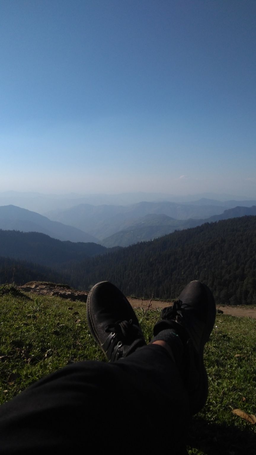 Photo of Churdhar- Lost in the wildlife sanctuary by Mehul Sharma
