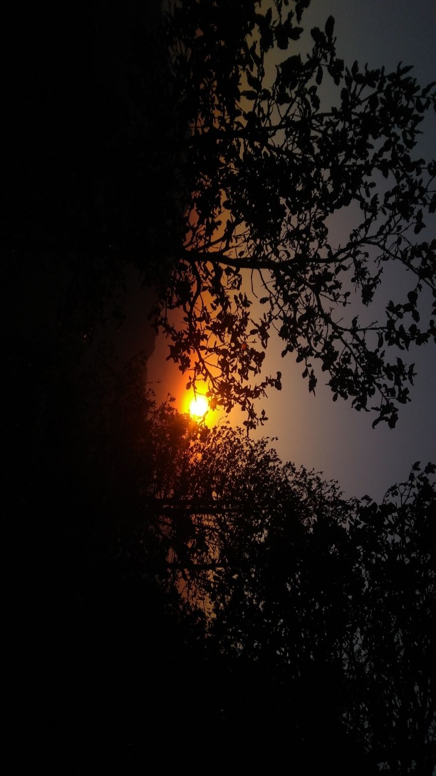 Photo of Churdhar- Lost in the wildlife sanctuary by Mehul Sharma