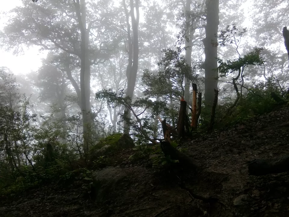 Photo of Shimla, Himachal Pradesh, India by Ashish Singh Rana