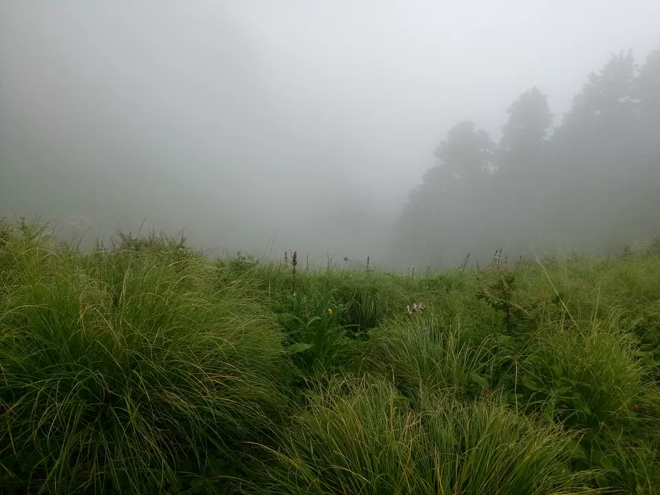 Photo of Kullu, Himachal Pradesh, India by Ashish Singh Rana