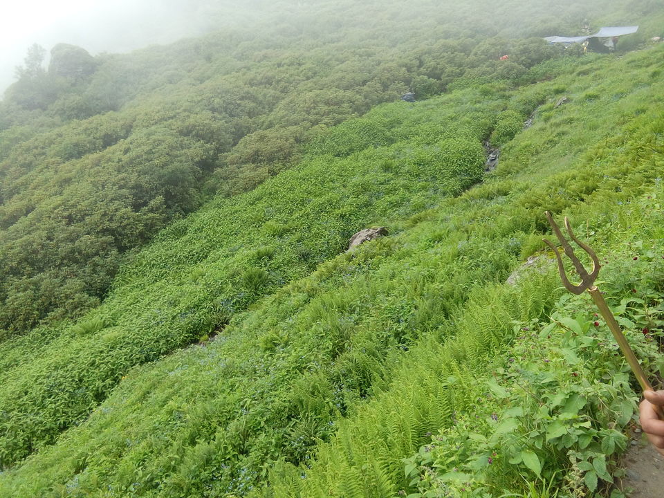 Photo of Kullu, Himachal Pradesh, India by Ashish Singh Rana