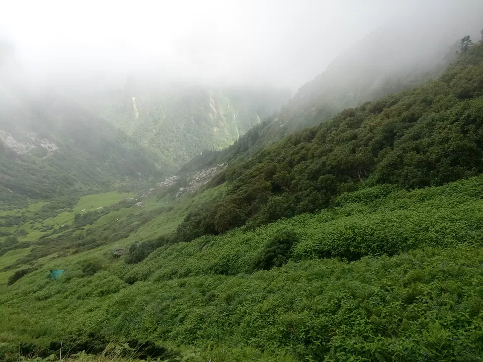 Photo of Kullu, Himachal Pradesh, India by Ashish Singh Rana