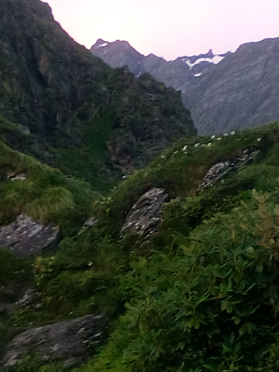 Photo of Kullu, Himachal Pradesh, India by Ashish Singh Rana