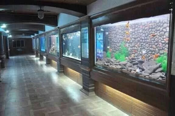 Photo of Surat Municipal Aquarium, Adajan Gam, Adajan, Surat, Gujarat, India by Raj Kaneria