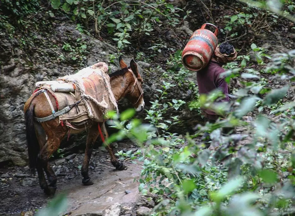 Photo of Patna Fall, Rishikesh, Uttarakhand, India by Hetali Kothari