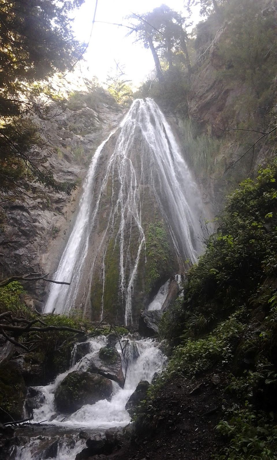 Photo of Hare Creek Trail, Big Sur, CA, United States by Amanda Janelle