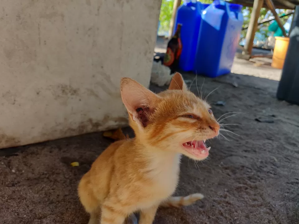 Photo of Duli Beach, El Nido, Philippines by Abhishek Jain