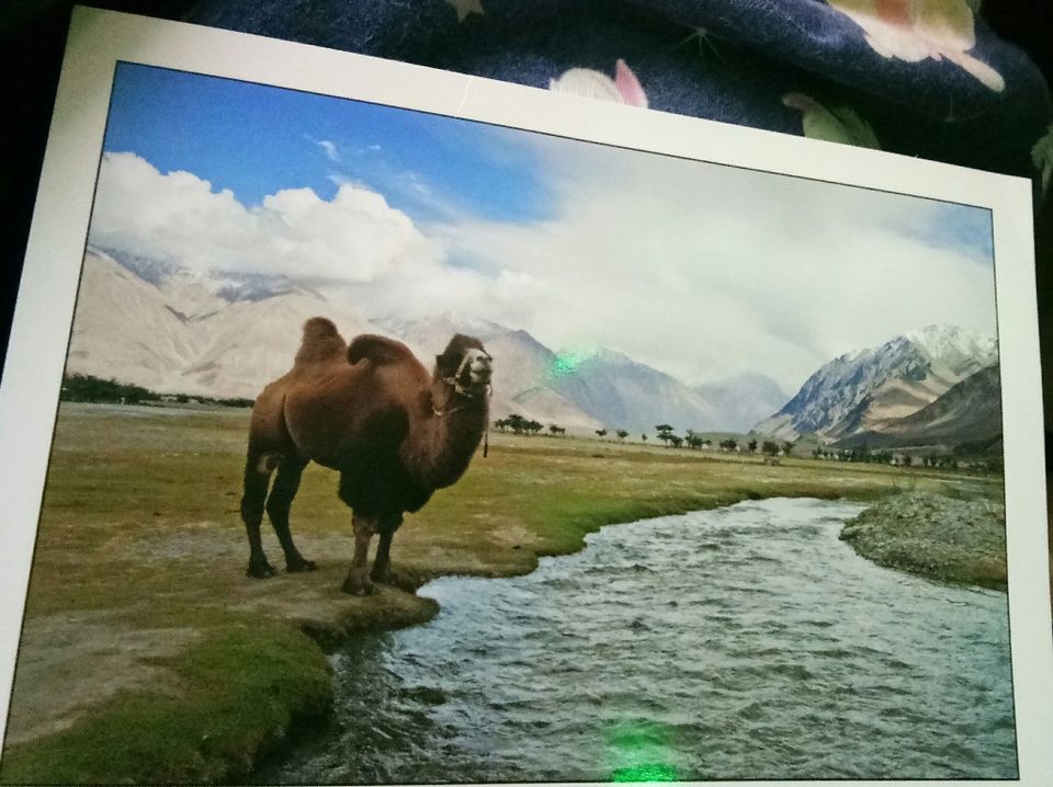 Photo of India Post Leh Head Office, Leh by Aditi Chaudhary