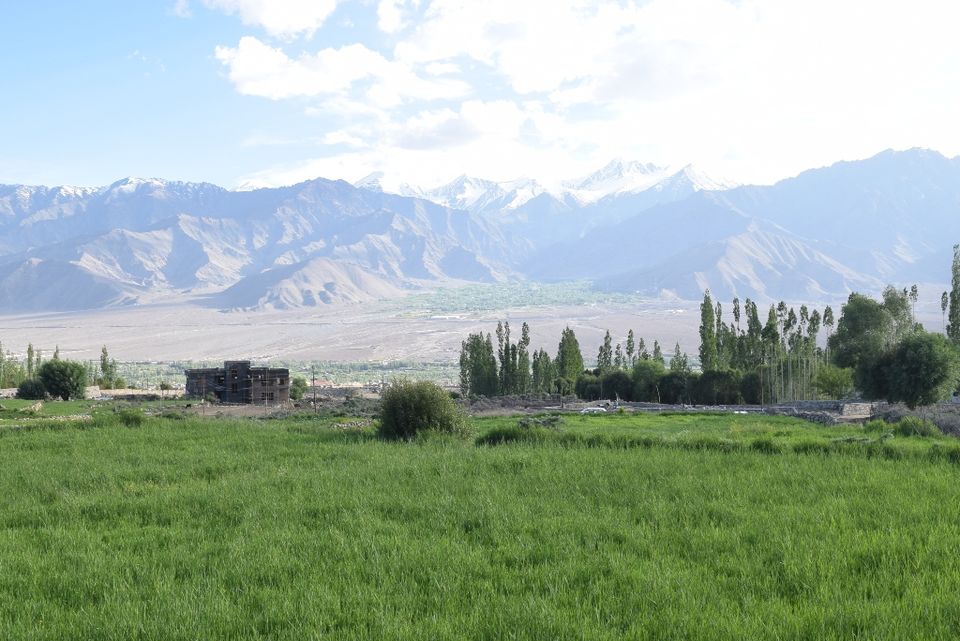 Photo of ladakh sarai by Aditi Chaudhary