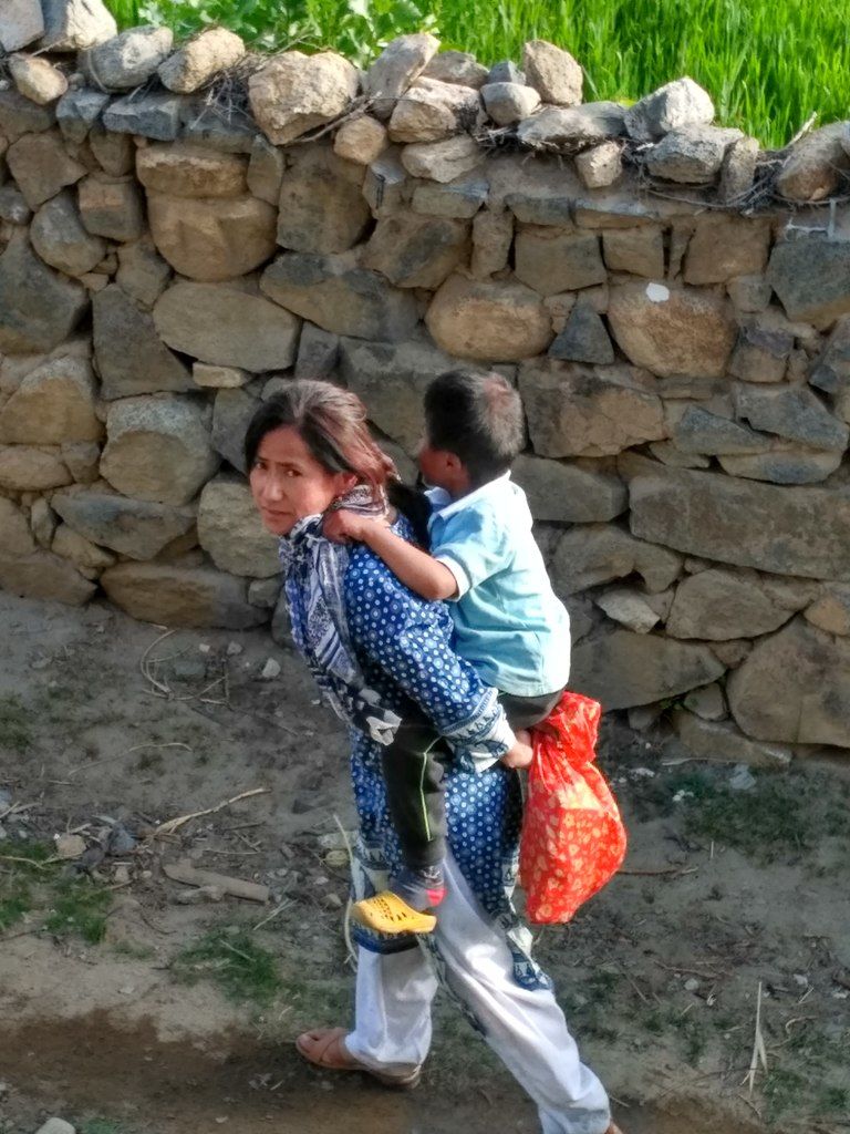 Photo of ladakh sarai by Aditi Chaudhary