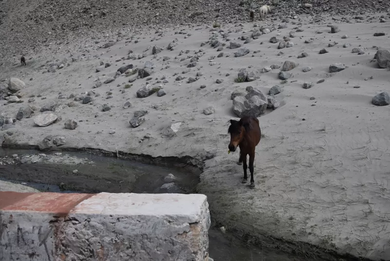 Photo of Chang La by Aditi Chaudhary