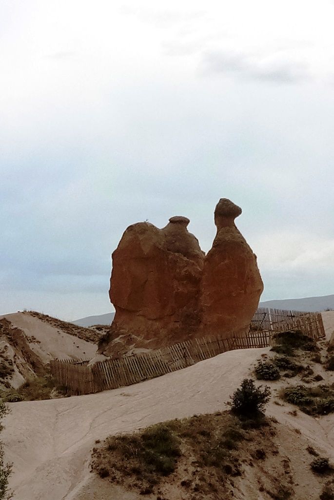 Photo of The Land of Beautiful White Horses - Cappadocia by Aditi Chaudhary