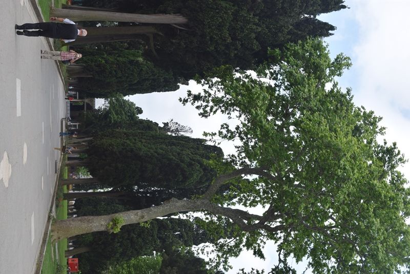 Photo of Hobyar Mahallesi, Topkapı Palace, Büyük Postane Caddesi, Fatih/Istanbul, Turkey by Aditi Chaudhary
