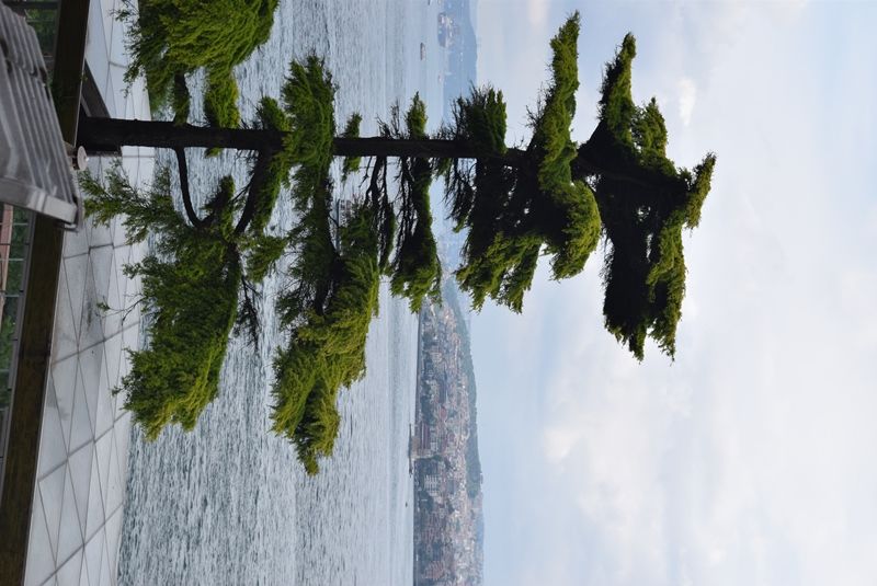 Photo of Hobyar Mahallesi, Topkapı Palace, Büyük Postane Caddesi, Fatih/Istanbul, Turkey by Aditi Chaudhary