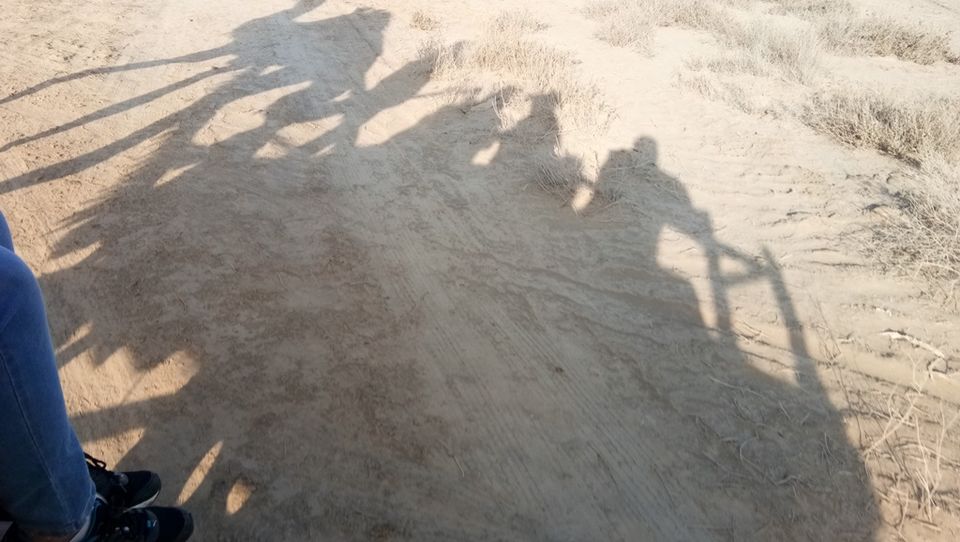 Photo of Rann Utsav 2k18 by Aditi Chaudhary