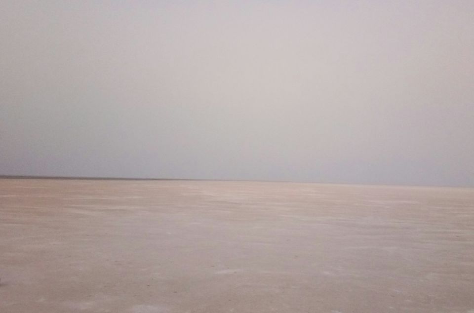 Photo of Rann Utsav 2018-19, 100 Feet Anand Nagar Road, Jodhpur, Ahmedabad, Gujarat, India by Aditi Chaudhary