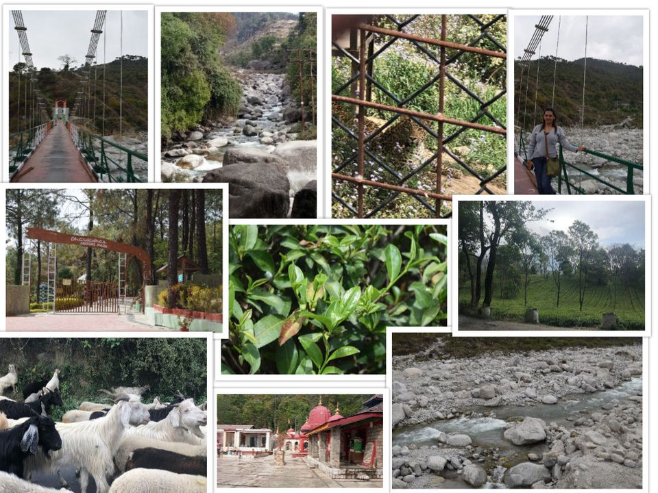 Photo of Naddi, Dharamshala, Himachal Pradesh, India by Aditi Chaudhary