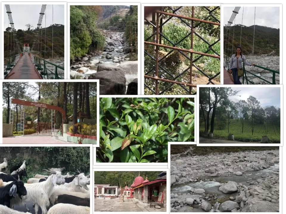 Photo of Naddi, Dharamshala, Himachal Pradesh, India by Aditi Chaudhary