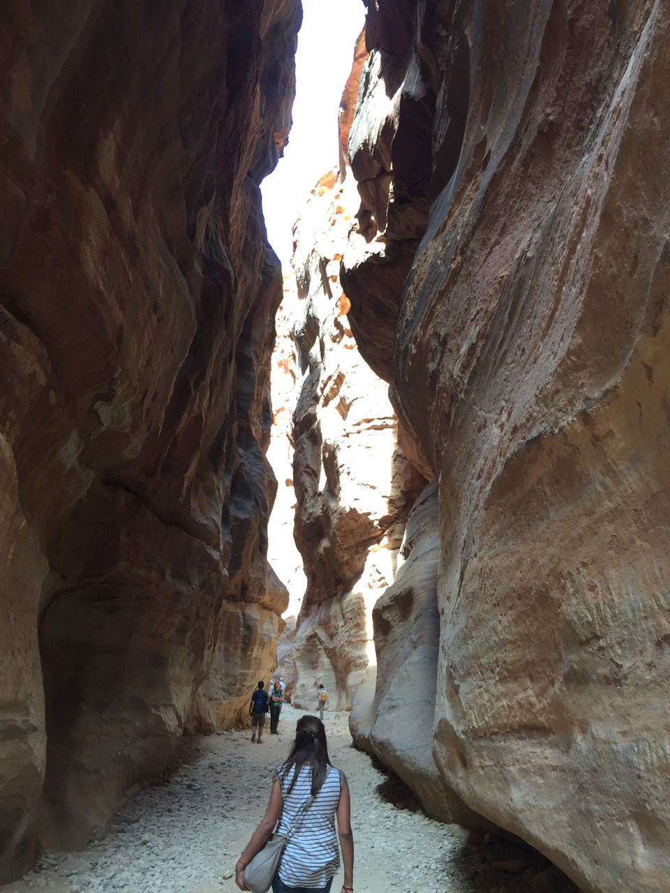 Photo of Petra, Petra District, Ma'an Governorate, Jordan by Michael Pargal