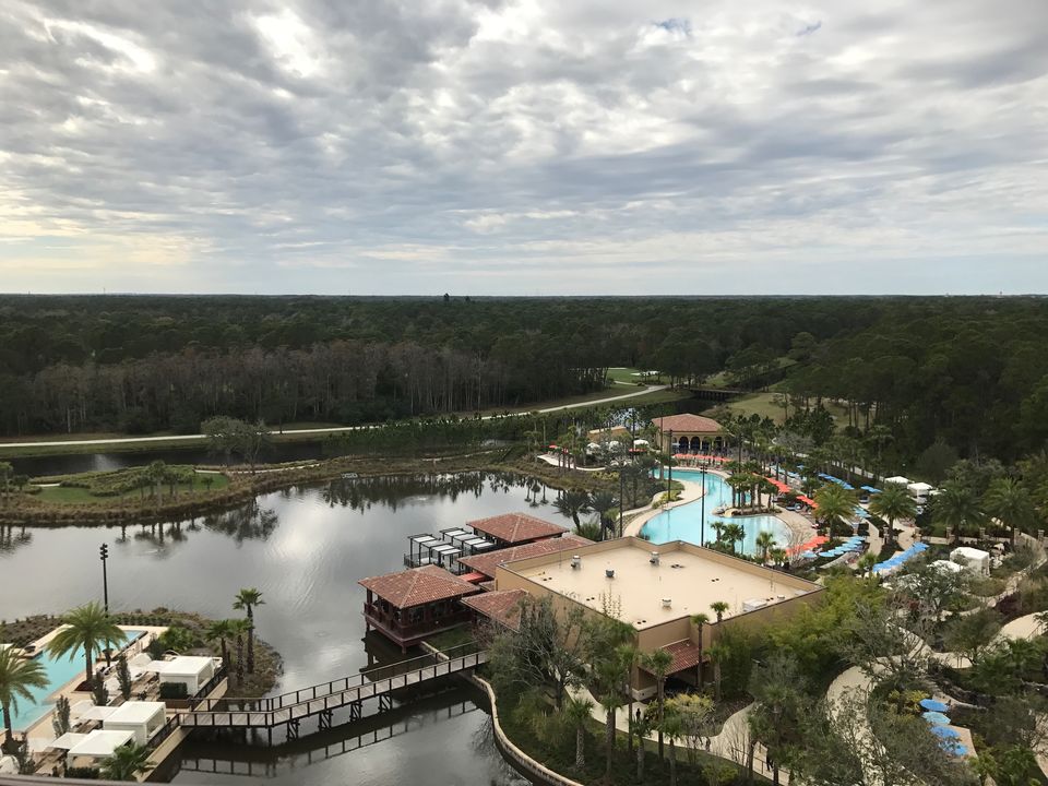 Photo of Honeymoon In The Magic Kingdom: You're Never Too Old For Disney by Michael Pargal