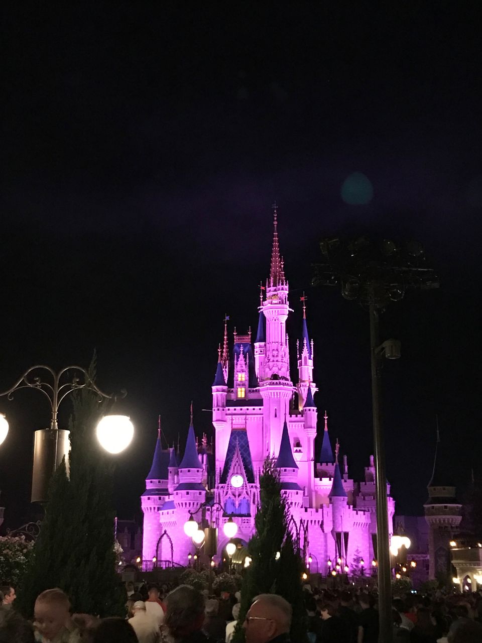 Photo of Honeymoon In The Magic Kingdom: You're Never Too Old For Disney by Michael Pargal