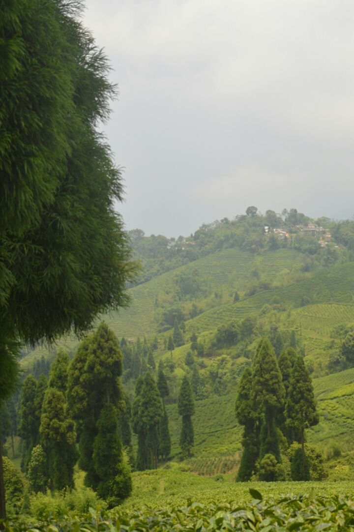 Photo of Mirik, West Bengal, India by Samaakhya
