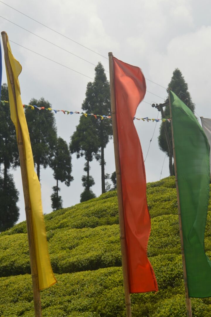 Photo of Mirik, West Bengal, India by Samaakhya