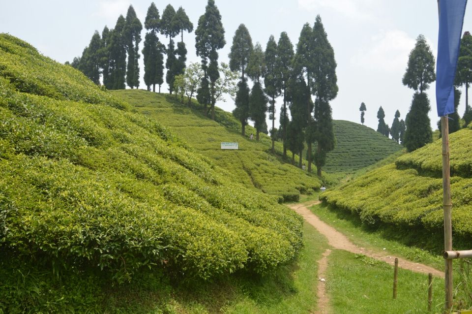 Photo of Mirik, West Bengal, India by Samaakhya