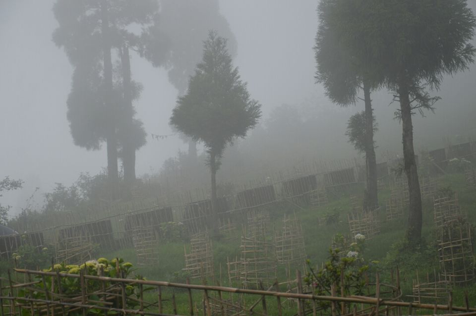 Photo of Mirik, West Bengal, India by Samaakhya