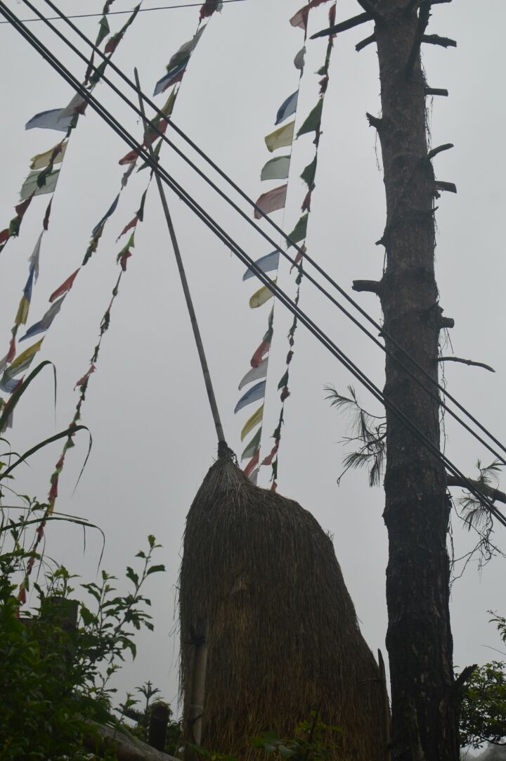 Photo of Gangtok, Sikkim, India by Samaakhya