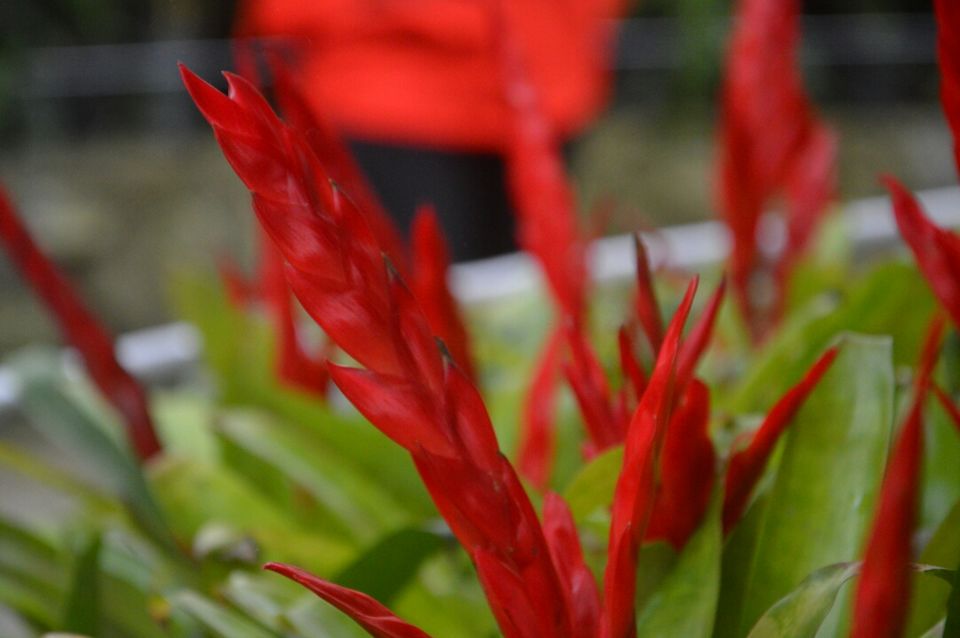 Photo of Gangtok, Sikkim, India by Samaakhya