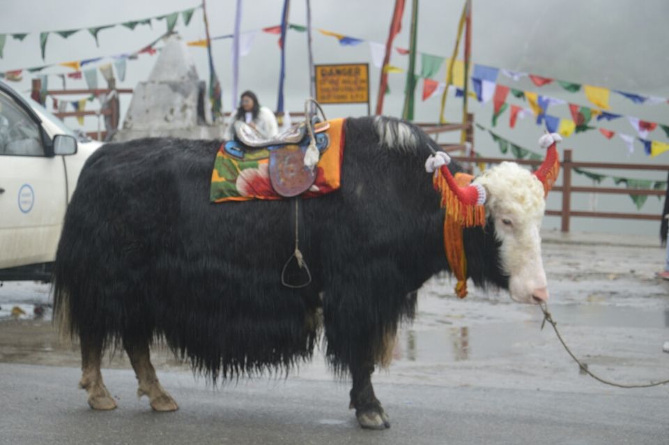Photo of Nathu La, East Sikkim, Sikkim, India by Samaakhya