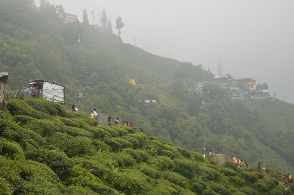 Photo of Darjeeling, West Bengal, India by Samaakhya