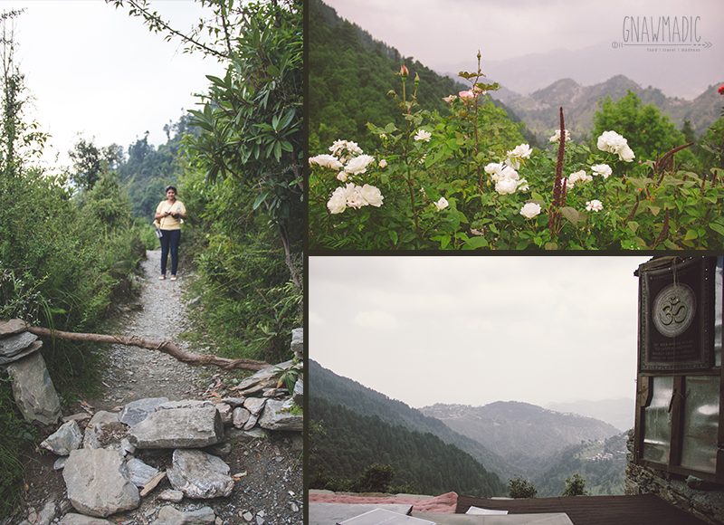 Photo of Beyond Mcleodganj 1/2 by Gnawmadic