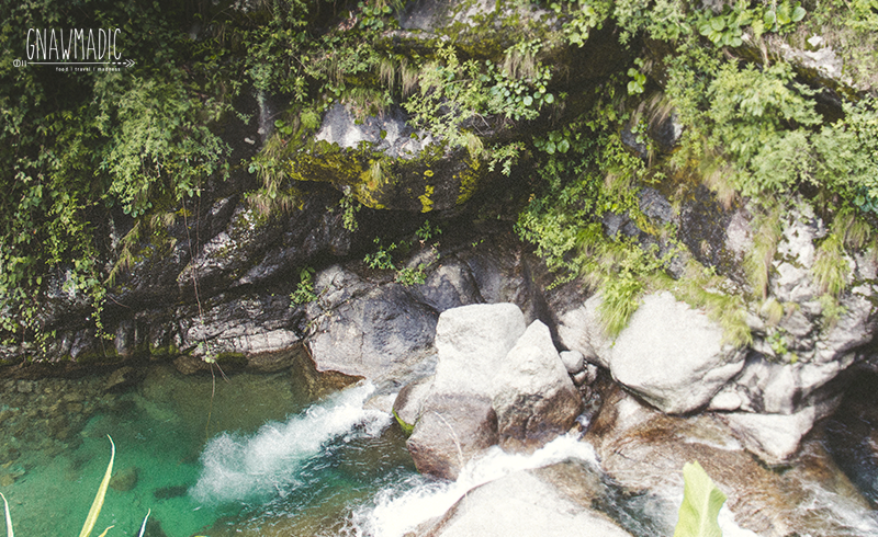 Photo of Beyond Mcleodganj 2/2 by Gnawmadic